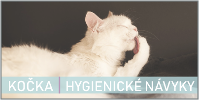 Vše o hygienických návycích | Kočky